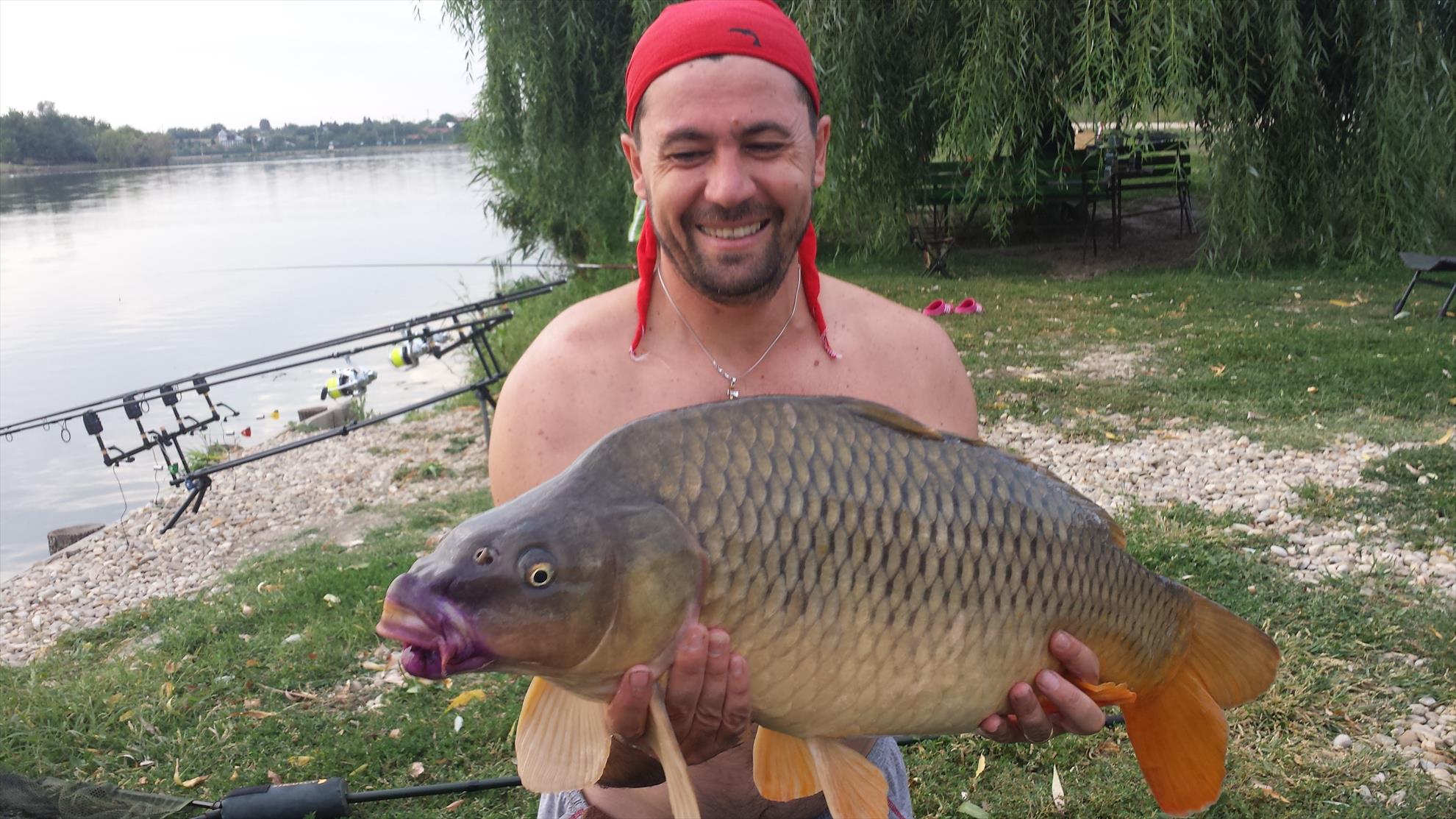 Hermes Peris 12 - 13 august 2015 - 20150812192300.jpg